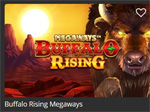 Buffalo Rising